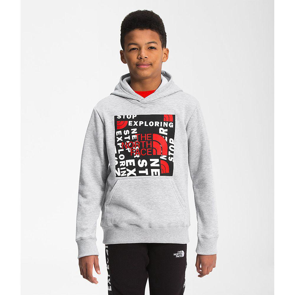 The North Face Camp Fleece Pullover Αγόρια Φούτερ Hoodie - Ανοιχτο Γκρι / Κοκκινα (WETJ76148)